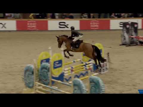 Kastell An Taro DK Stallion Competition Sentower