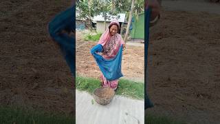 Amazing fish catching, #shorts #viralvideo