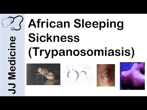 Video: Trypanosom: Symptomer, Behandling, Diagnose Og Forebyggelse