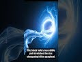 Black Hole Dinner: Star Becomes Cosmic Noodles!