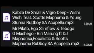 Biri Marung Acapella Or Wishi Wishi Acapella Amapiano Acapella Dj Tools Dj Pack