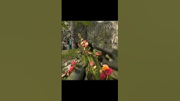 Most unique Weapon inspection in Mw3 #mw3 #warzone #cod #callofduty