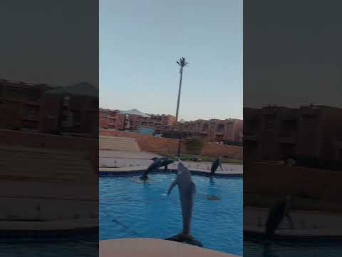 الله ايه الجمال دا