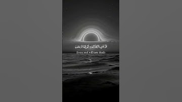سورة العنكبوت [الآية 56]