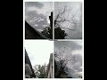 mai khud ko pagal kahlu #youtubeshorts #shortvideo
