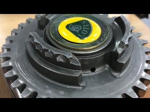 How much did my Lotus cost to repair this time?