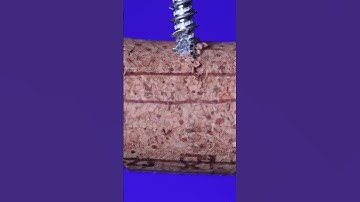 Wine Cork vs. Drill (ASMR close up/macro) #asmr #closeup #macro #satisfying #asmrvideo #macrovideo