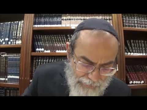 Bekhorot 26b - Youtube