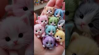 Bundle of fluff,cutest kitten ever!#cute #kitten #viralvideo #aiclub #shortvideo