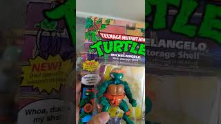 It's Turtle Time! Out now!