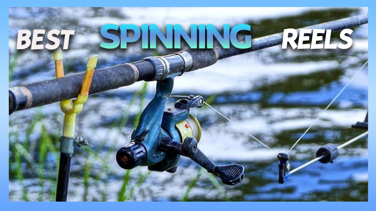 Top 5 BEST Spinning Reels in 2025 – Ultimate Fishing Gear Guide! - YouTube