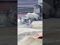 Excaliber GOES OFF in Minneapolis at Monster Jam!