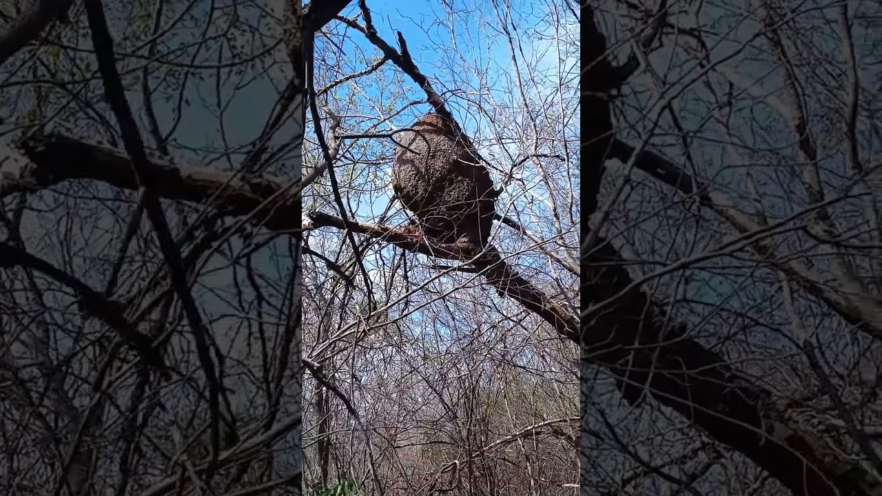 O caminho do meu barreiro
