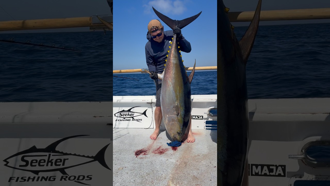 Мексиканский монстр среди тунцов!! Путешествие мечты с Марлой полностью оправдало все ожидания!! ...