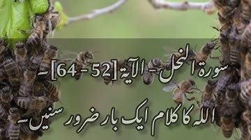 سورة النحل - الآية [52 - 64]. surat an nahl listen surah an nahl#sura#quran
