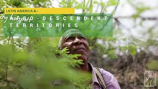 Afrodescendents territories in biodiversity hotspots