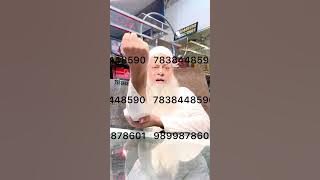 ZULFIQAR PHARMACY PVT LTD GOOGLE SEARCH KAREIN FACEBOOK PAR DUPLICATE KI BHARMAR HAI 7838448590