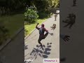 ​"Twice the flip, double the justice."#shorts #spiderman #gaming #playstationgamer