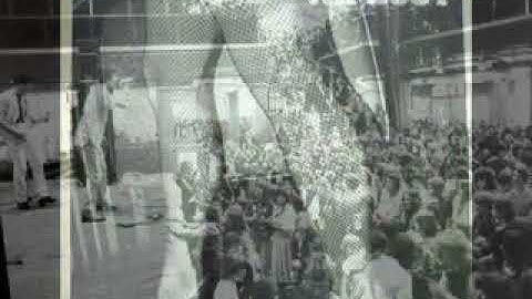 Wipeout - A Place To Hide