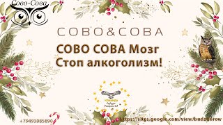 СОВО СОВА Мозг Стоп алкоголизм! Часть 5 #рекомендации #совосова #олигопептиды #нутрицевтики 2