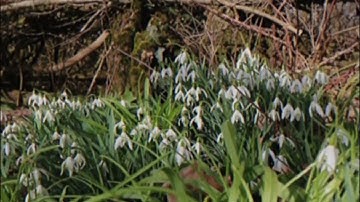 Media Studies - A level coursework video