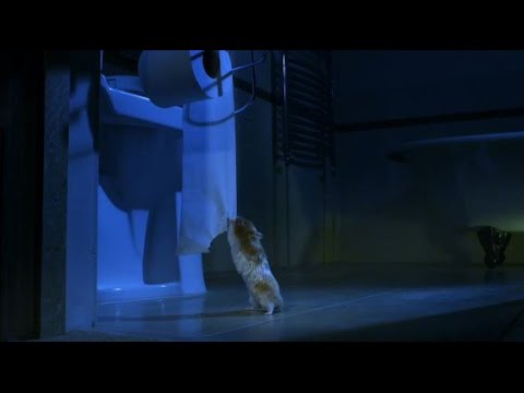 Cunning Hamster is a Toilet Paper Thief!