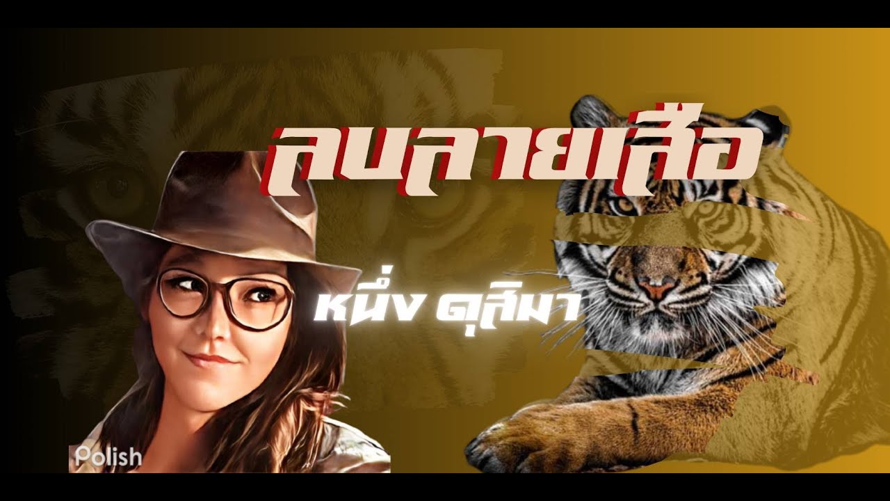 เพลง ลบลายเสือ- หนึ่ง ดุสิมา- (New Remix) ร้องเองแต่งเอง