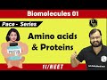 Biomolecules 01 | Amino Acids and Proteins | 11 | NEET | PACE Series