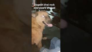 dogesh bhai ghus gye taxi mai #automobile #fortnitemusic #techno