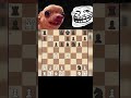 chess lover.#chess #gukeshdommaraju #magnuscarlsen #samayraina #chesslover