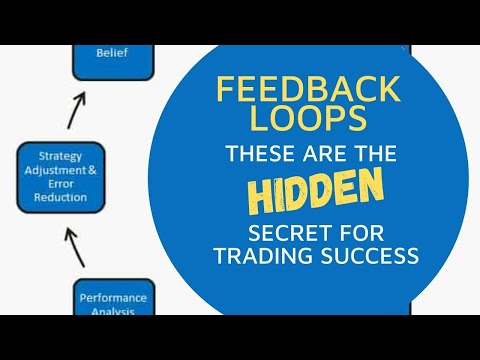 Feedback Loops -