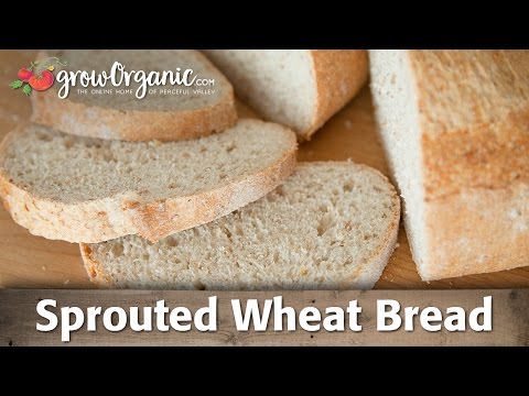 Video: Sprouted Wheat Bread