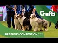 Breeders Competition Final | Crufts 2019