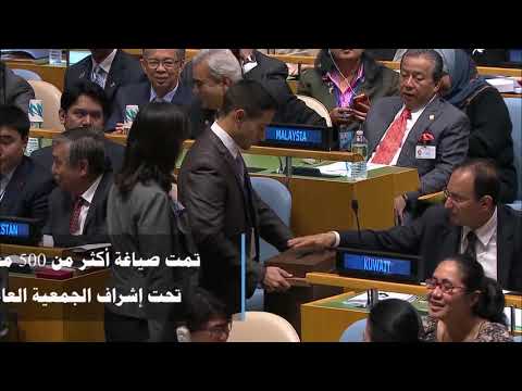 فيديو: ما هي الجمعية العامة للأمم المتحدة؟ الجمعية العامة للأمم المتحدة والأمن الدولي