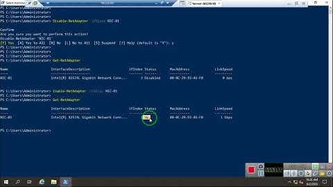 Lab Practice of Configure IP address and Dns Address through Power shell | Session-03 | Netexpertz.