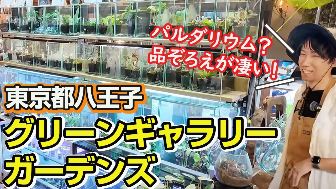 Undercover Report] We visited Green Gallery Gardens (Hachioji