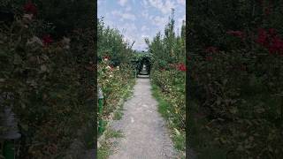 Şəkinin Ən Gözəl Bağı - Biogarden