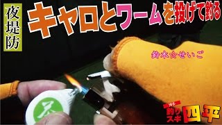 キャロワームで夜の釣り(125話目)