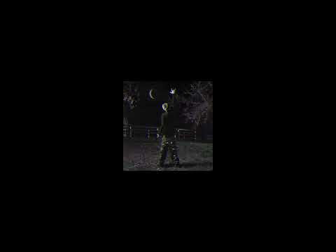 NEWLIGHTCHILD - MONEY DANCE (Slowed + reverb)