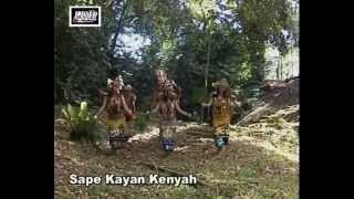 Sape Kayan Kenyah