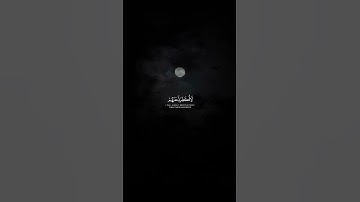 فالذين هاجروا وأخرجوا من ديارهم ||#ماهر _المعيقلي سورة آل عمران #quotes