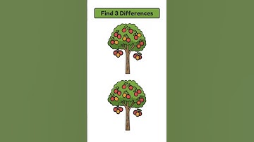 Spot 3 Differences #2186