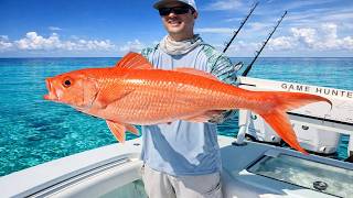 Every MASSIVE Queen Snapper We Caught From 1000 Feet and Deeper