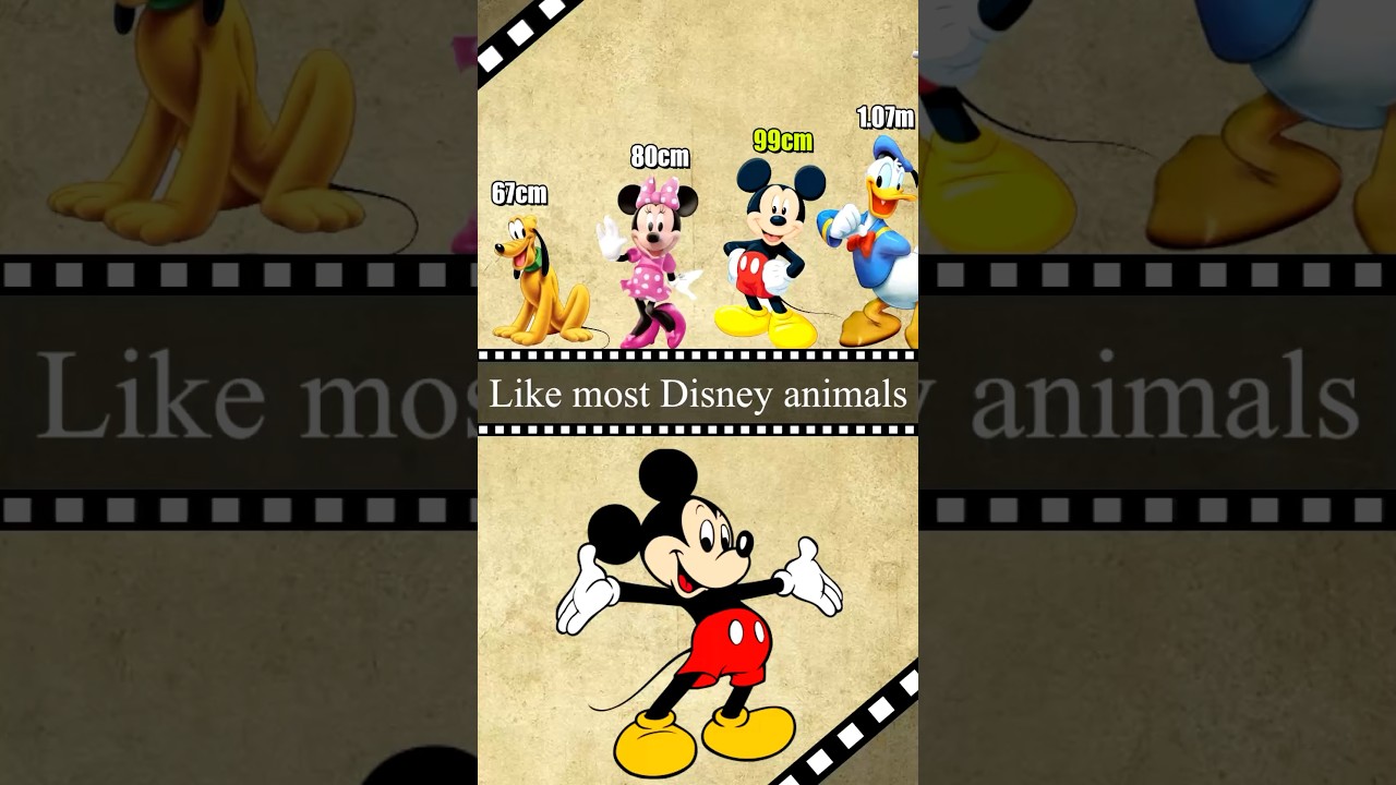 Mickey was an actual mouse at one point #animation #disney #mickeymouse