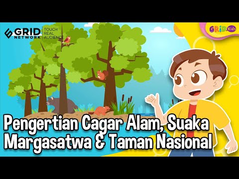 Video: Apa perbedaan antara cagar alam dari taman nasional dan cagar alam?