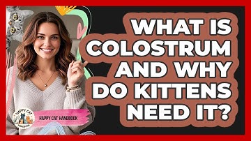 What Is Colostrum And Why Do Kittens Need It? - Happy Cat Handbook
