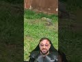 Garcinha predando serpente em MS #biologohenrique #animais #bichoesperto #biologo