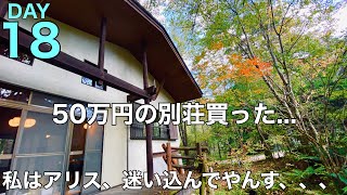 【18日目】50万円の別荘買った、和室のリフォーム、砂壁の上に壁紙、私はアリス、迷い込んで