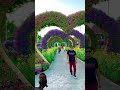 Garden #ashraful #new #garden #vairalvideo #foryou #