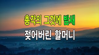 (신청사연) 총각의 그것에 밤새 젖어버린 할머니...[사이다썰][사연라디오]